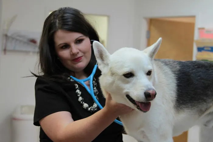 Northside Veterinary Hospital Picture 6