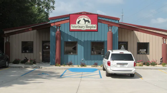 Northside Veterinary Hospital Picture 7