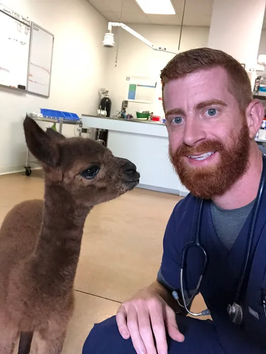 Northside Veterinary Hospital Picture 3