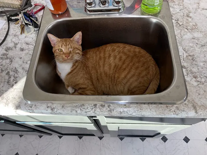 Locust Fork Animal Clinic Picture 7