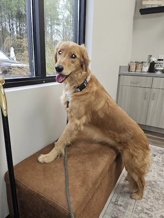 Big Springs Veterinary Clinic Picture 2