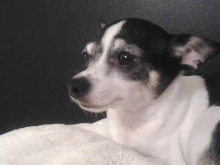 Hayden Veterinary Clinic Picture 2