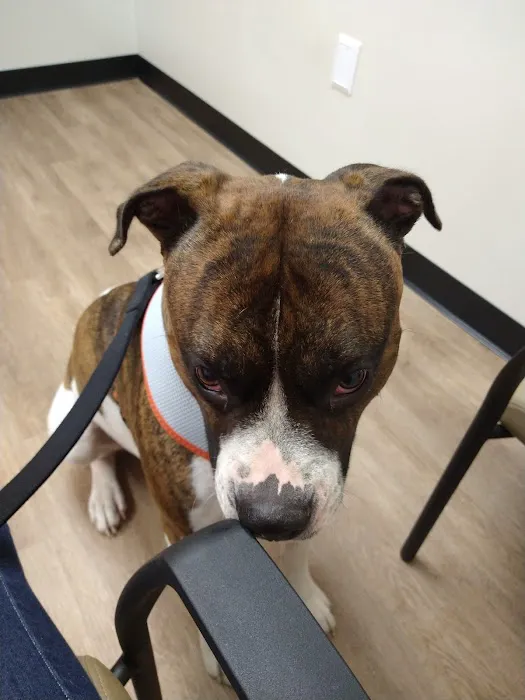 Hayden Veterinary Clinic Picture 3