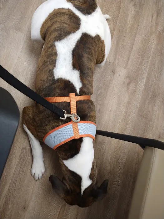 Hayden Veterinary Clinic Picture 4