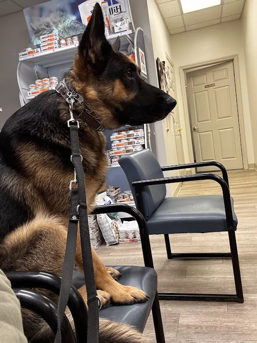 Argo Animal Clinic Picture 3