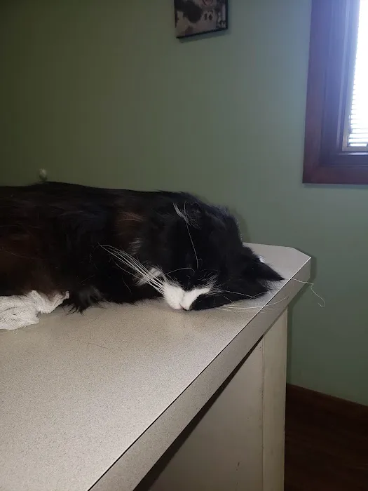 Hampton Veterinary Center Picture 1