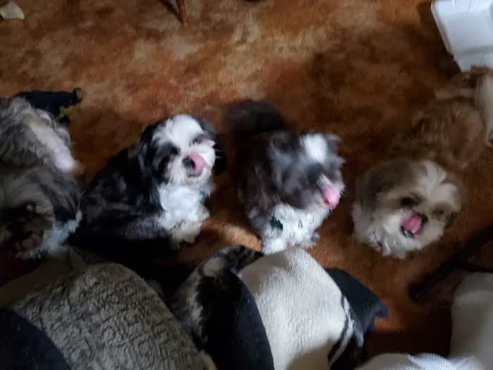 Britt Veterinary Clinic Picture 3