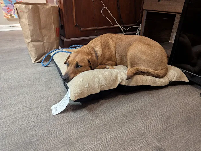 Britt Veterinary Clinic Picture 7