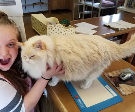 Family Veterinary Practice