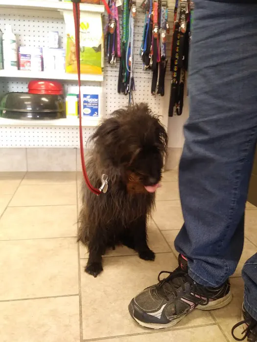 Cedar Heights Pet Clinic Picture 2