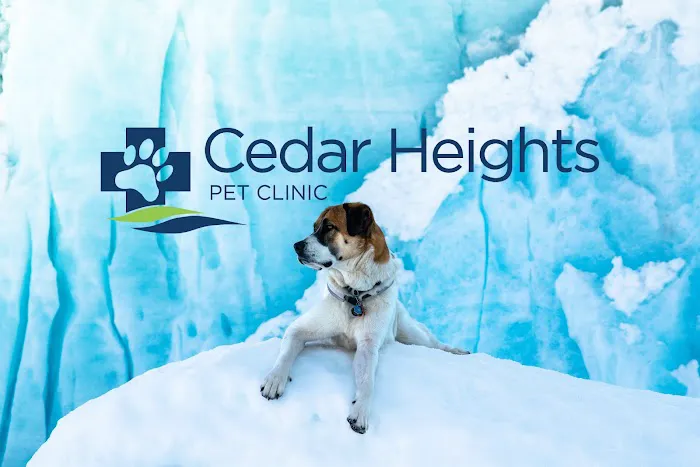 Cedar Heights Pet Clinic Picture 4