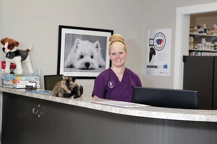 Cedar Heights Pet Clinic Picture 6