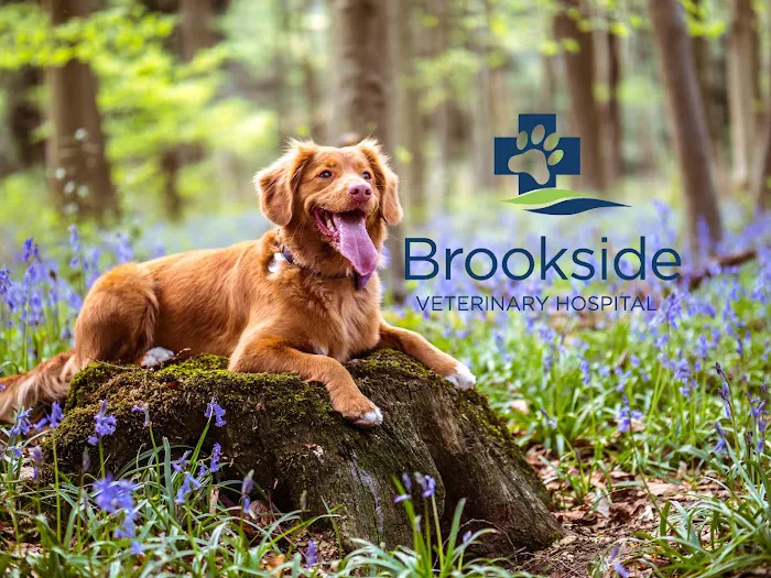 Brookside Veterinary Hospital Picture 3