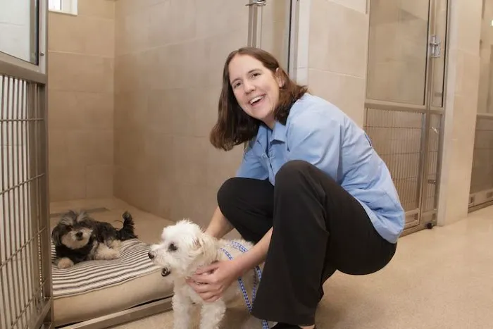 Brookside Veterinary Hospital Picture 10