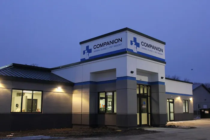 Companion Animal Clinic & Pet Resort Picture 7