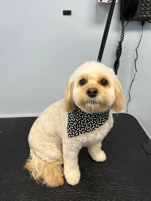 Advanced Pet Care Clinic Picture 5