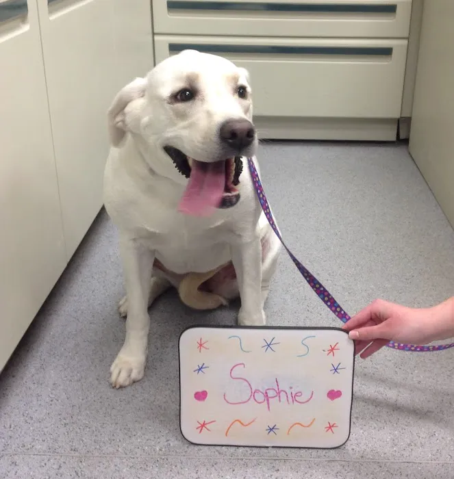 Advanced Pet Care Clinic Picture 8