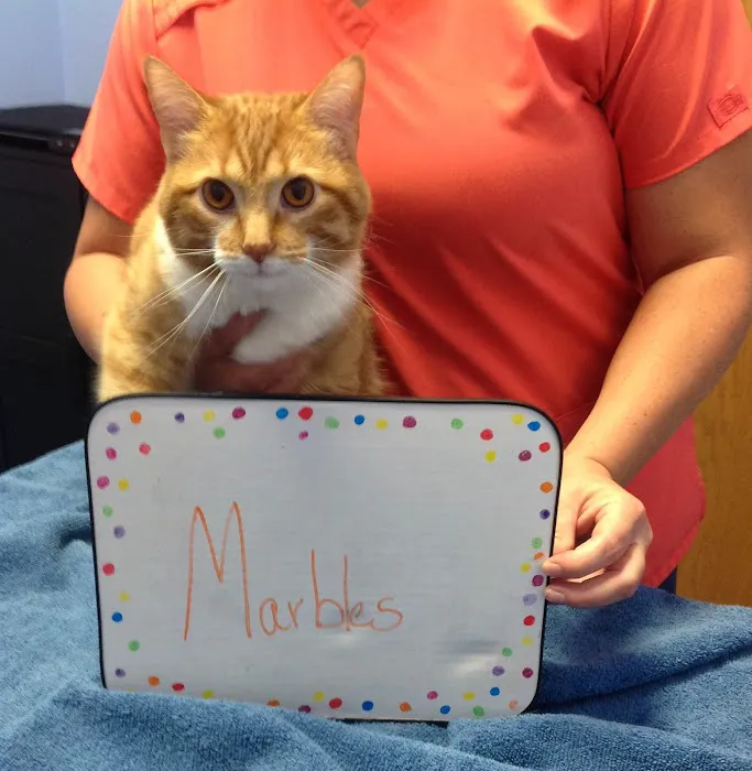 Advanced Pet Care Clinic Picture 9