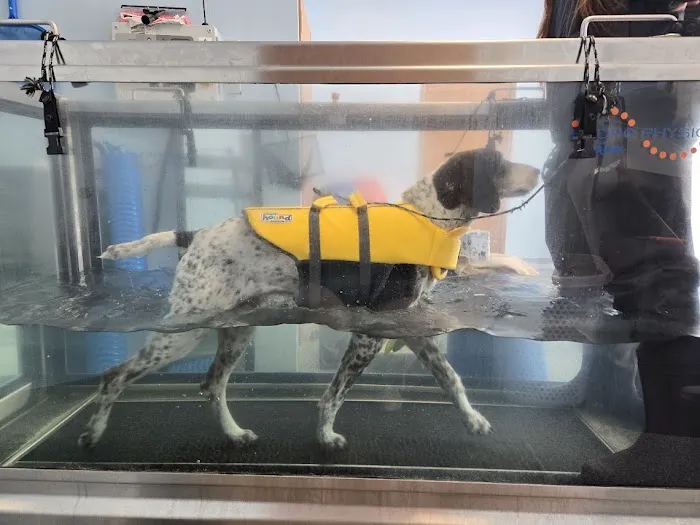Advanced Pet Care Clinic Picture 10