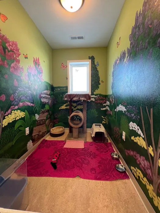 Purr-Sonal Care Cat Clinic Picture 4