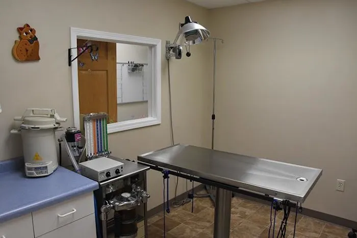 Purr-Sonal Care Cat Clinic Picture 5