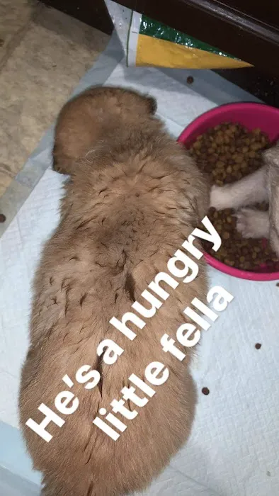 West Union Veterinary Clinic Picture 1