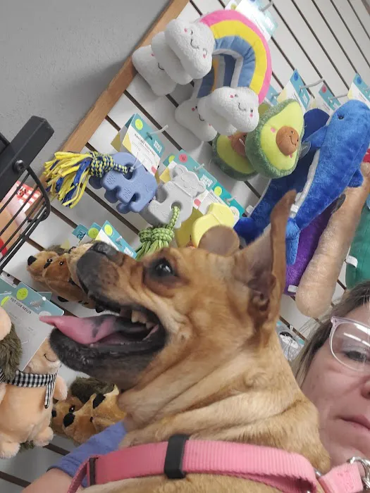 North Fayette Animal Clinic Picture 7
