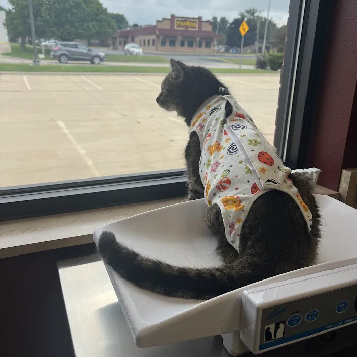 Wags & Whiskers Veterinary Clinic, PC Picture 1