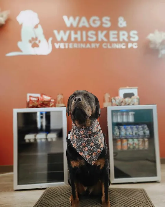 Wags & Whiskers Veterinary Clinic, PC Picture 6