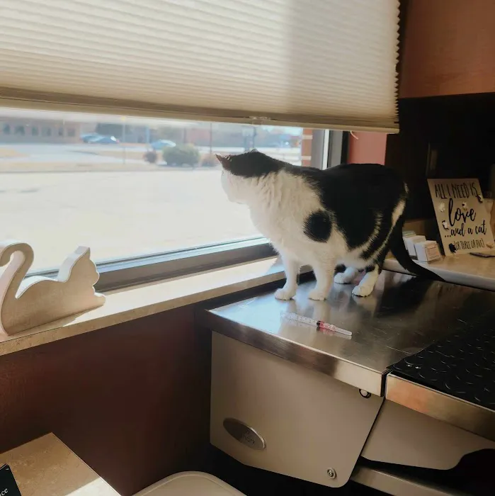 Wags & Whiskers Veterinary Clinic, PC Picture 7