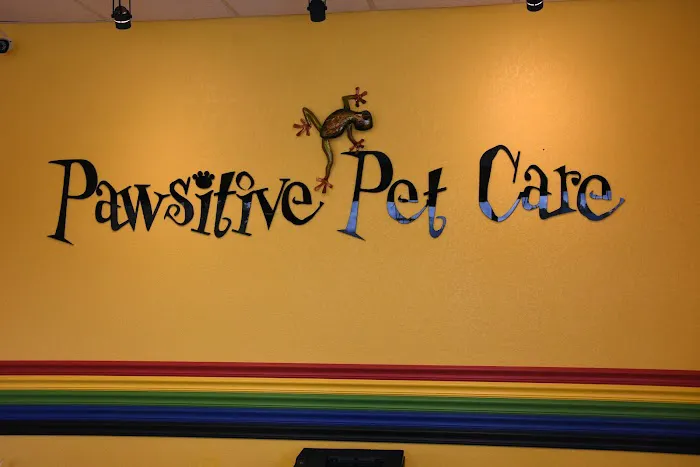 Pawsitive Pet Care Picture 3