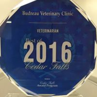Budreau Veterinary Clinic ico