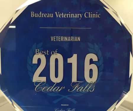 Budreau Veterinary Clinic