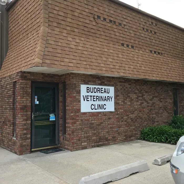 Budreau Veterinary Clinic Picture 2