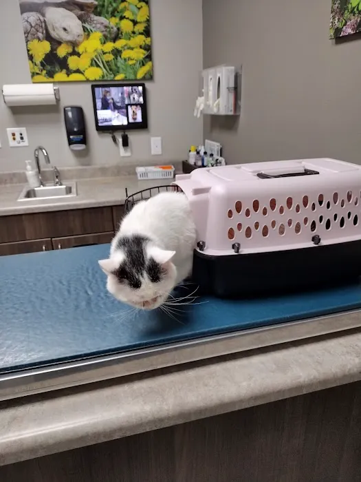 Den Herder Veterinary Hospital Picture 2