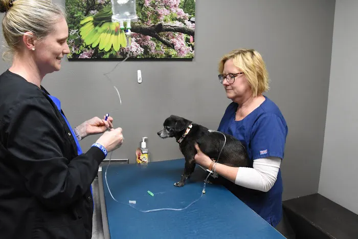 Den Herder Veterinary Hospital Picture 5