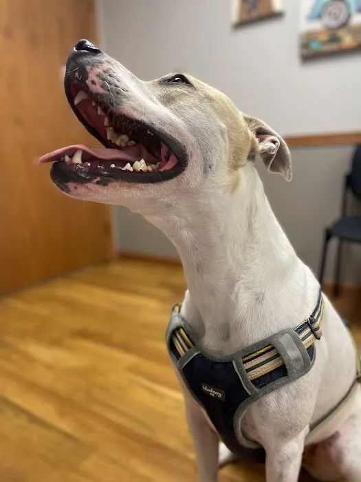 Wolf River Veterinary Clinic Picture 4