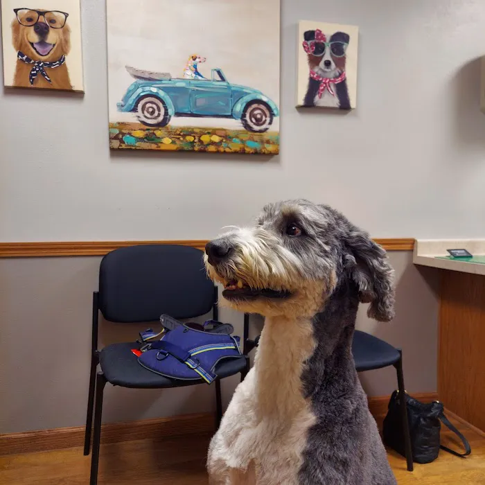 Wolf River Veterinary Clinic Picture 8
