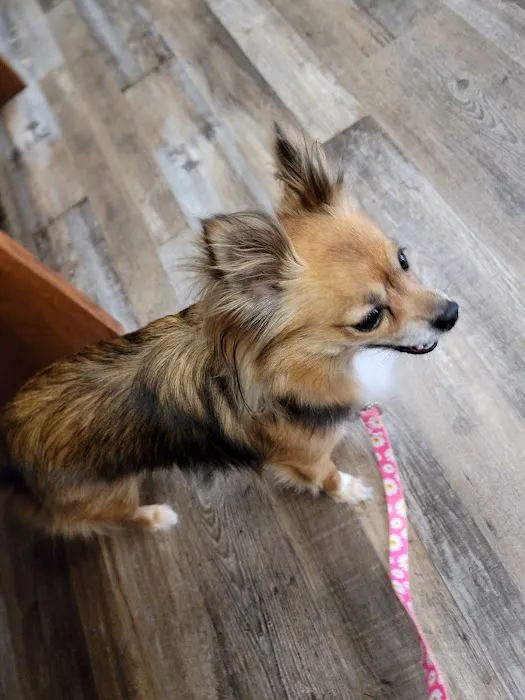 Walker Family Veterinary Hospital Picture 2