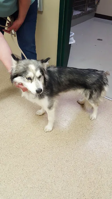 We Care Animal Hospital Picture 1