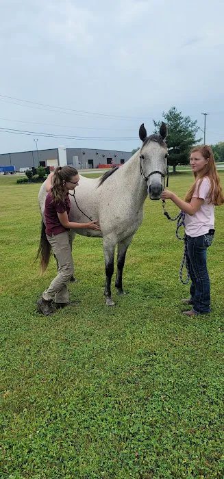 Great Lakes Equine Wellness Center Picture 5