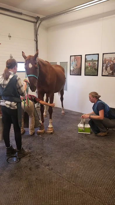 Great Lakes Equine Wellness Center Picture 4