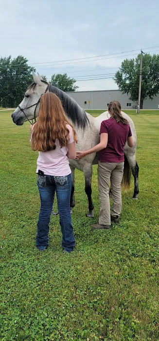 Great Lakes Equine Wellness Center Picture 8