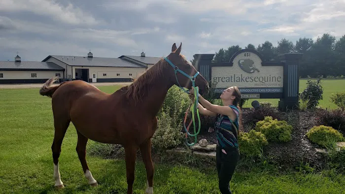 Great Lakes Equine Wellness Center Picture 9