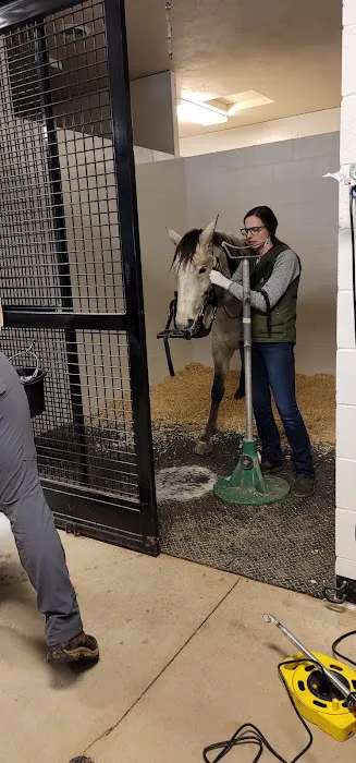 Great Lakes Equine Wellness Center Picture 6