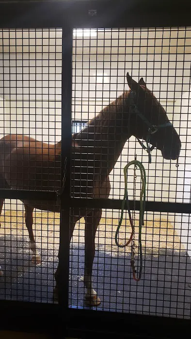 Great Lakes Equine Wellness Center Picture 10
