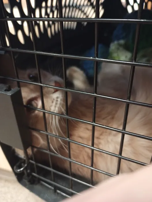 Heritage Animal Hospital Ltd. Picture 7