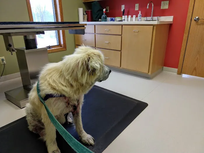 River Valley Veterinary Clinic Picture 2