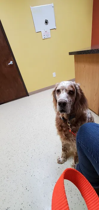 Sunrise Veterinary Services Picture 4