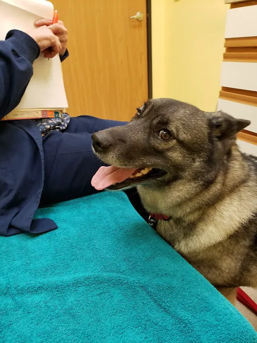 Reedsburg Small Animal Clinic Picture 2